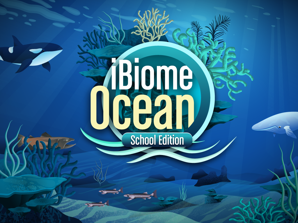 Океан образование. Игры School Ocean. Let’s learn about the Ocean Pearson.