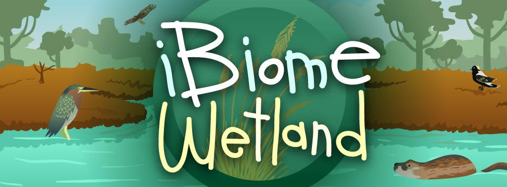 iBiome-Wetland